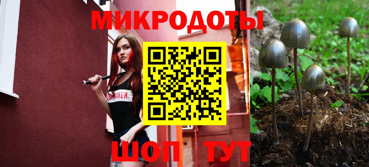 Верхняя Салда  Галлюциногенные грибы мицелий  купить закладку  Псилоцибиновые грибы мицелий  Вход с VPN 
